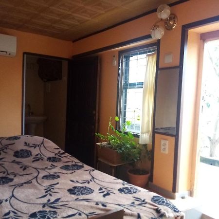 Guest House Gagra Exteriér fotografie